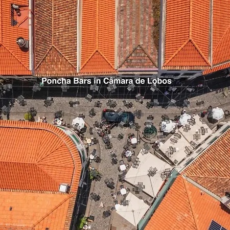 Ourmadeira - Bayside Apartmán Câmara de Lobos