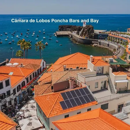 Ourmadeira - Bayside *