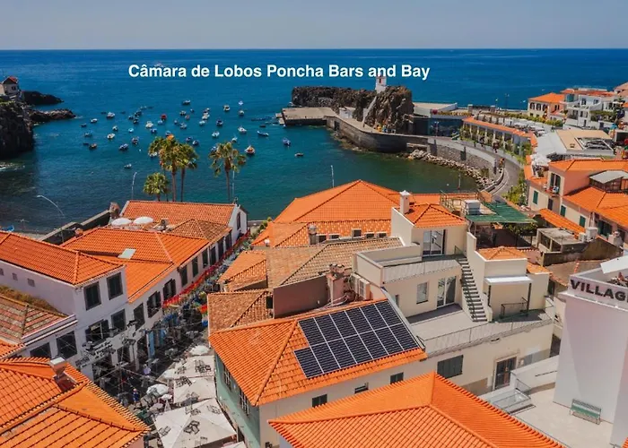 Ourmadeira - Bayside *